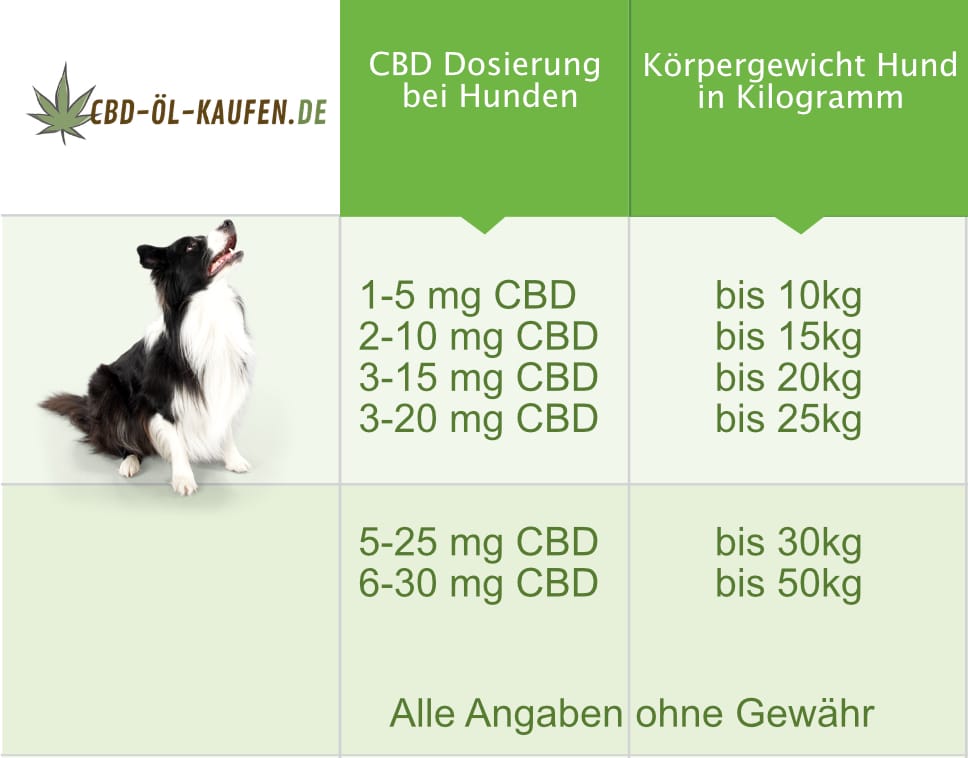 CBD Dosierung bei Hunden