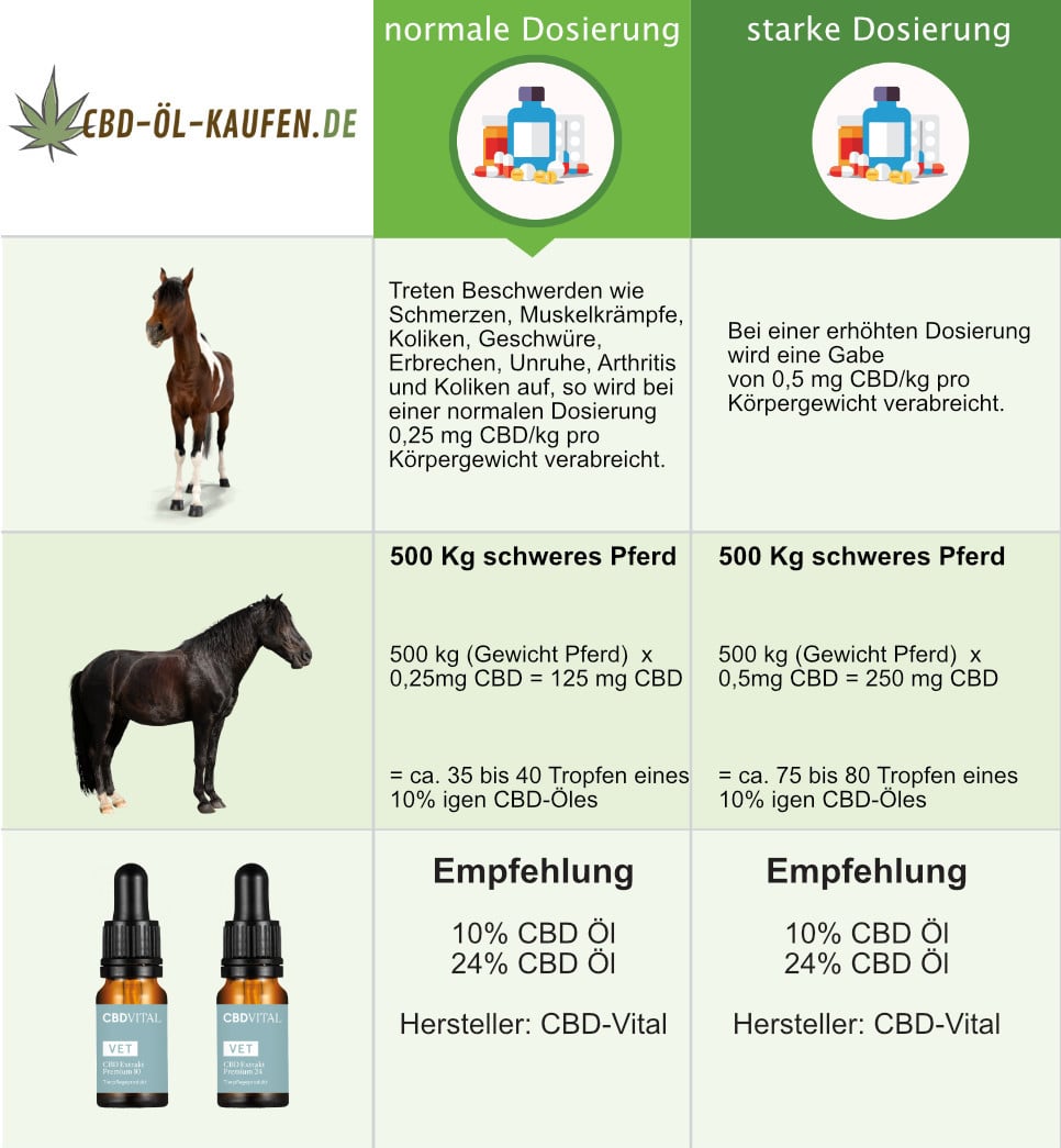CBD Dosierung bei Pferden Infografik
