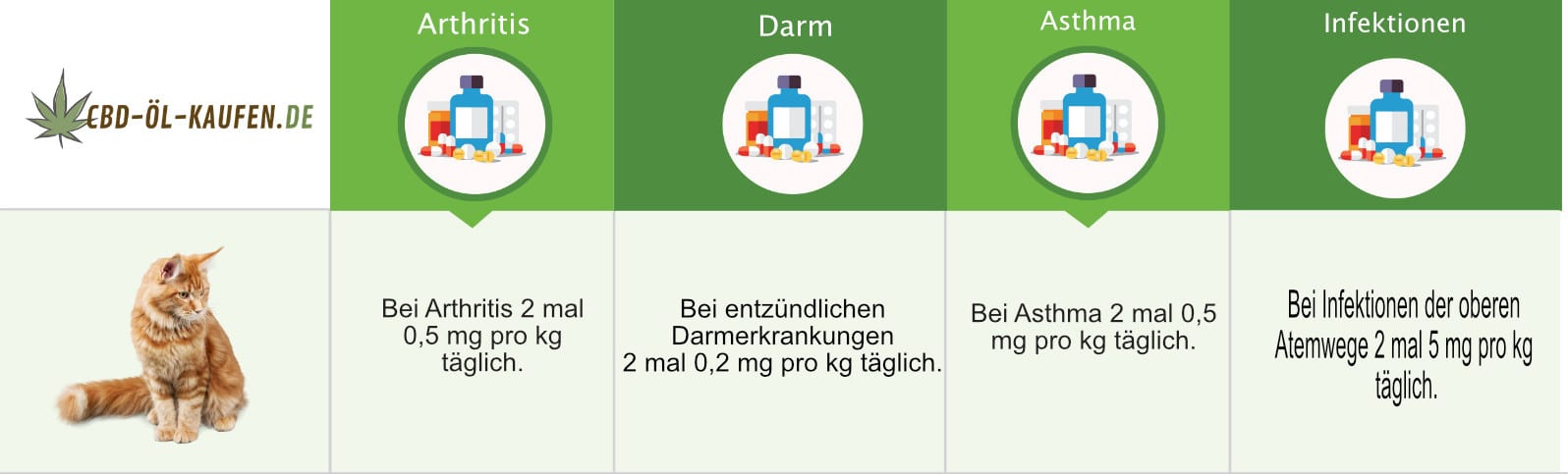 Infografik "CBD Dosierung für Katzen" von CBD-Öl-Kaufen.de CBD Dosierung für Katzen Infografik