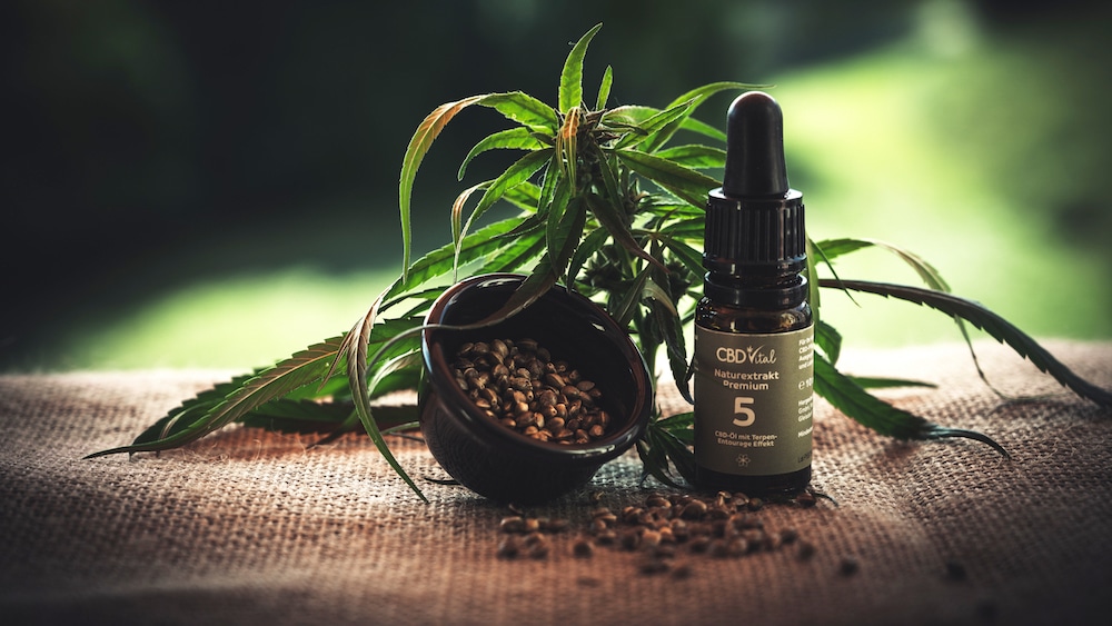 CBD Vital Test CBD Vital im Test